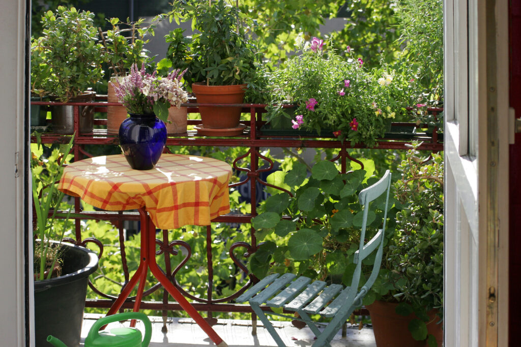 Gärtnern auf dem Balkon Die kleine Gärtnerin Garten, Hochbeet und Co.