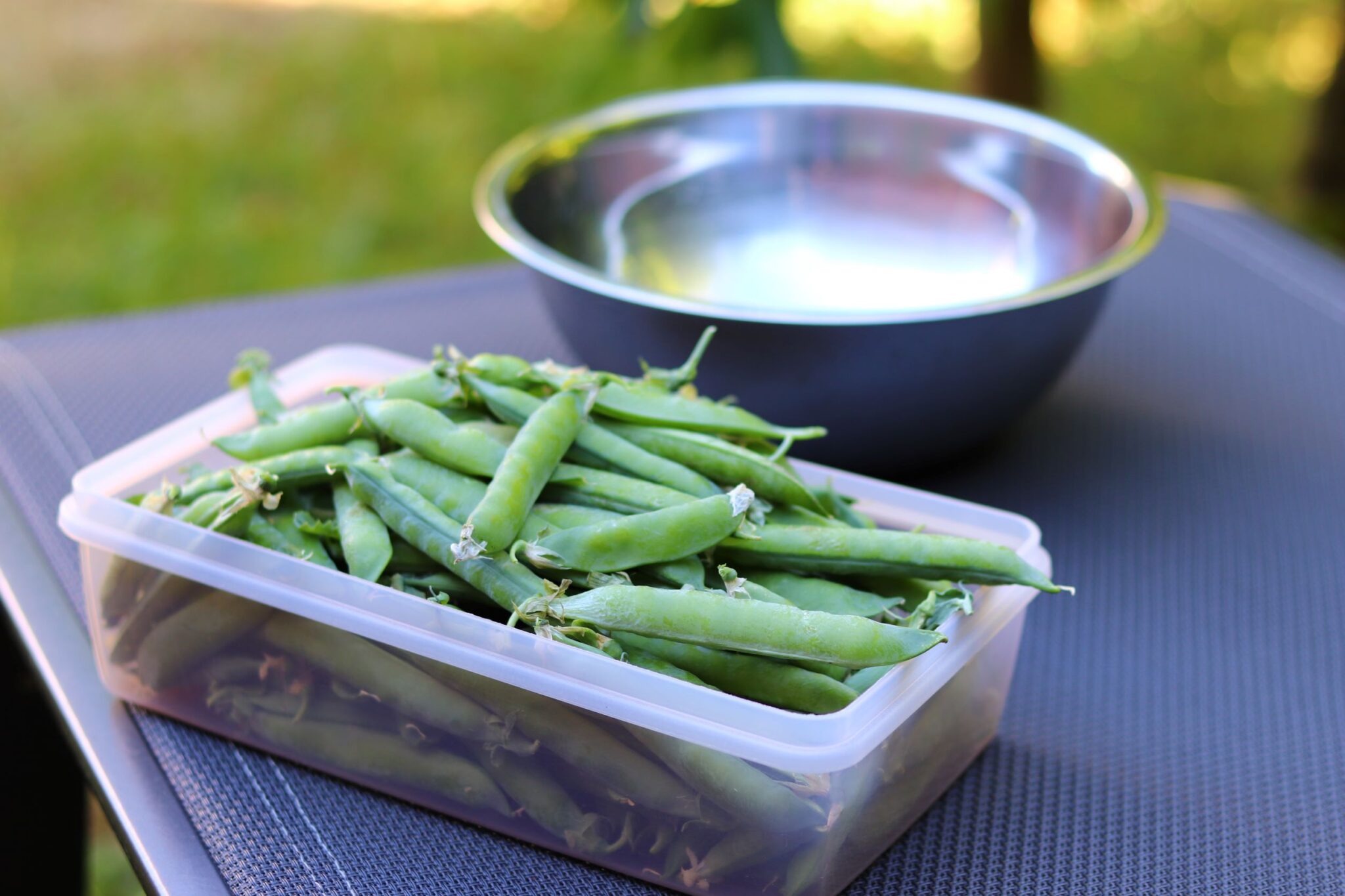Erbsen anbauen Tipps zur Aussaat, Pflege und Anbau in Hochbeete Die