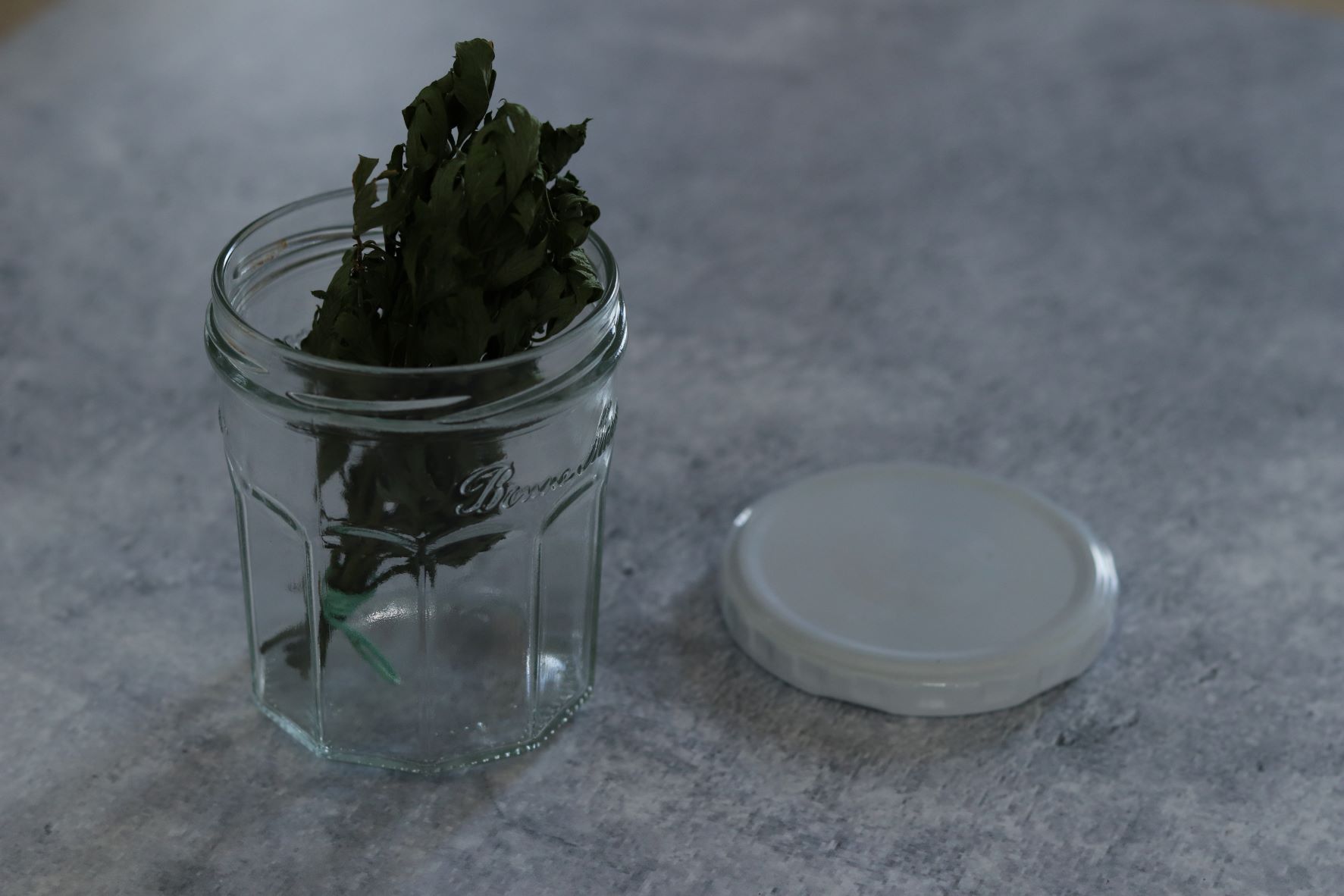 Selleriegrün Verwendung & Selleriesalz herstellen | Die kleine ... Selleriegrün Verwendung & Selleriesalz herstellen | Die kleine ...